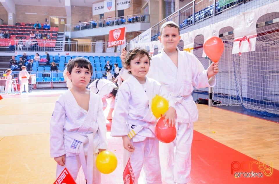 Demonstratia micilor Judoka, Arena Antonio Alexe