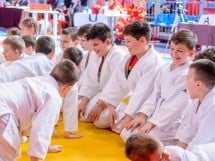 Demonstratia micilor Judoka