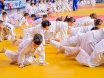 Demonstratia micilor Judoka