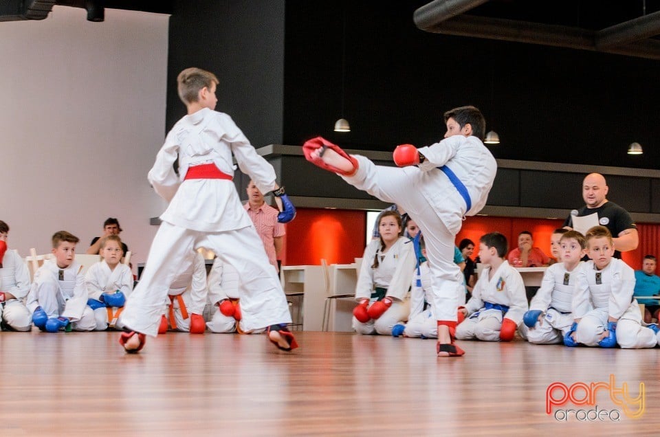 Demonstrativ Karate, 