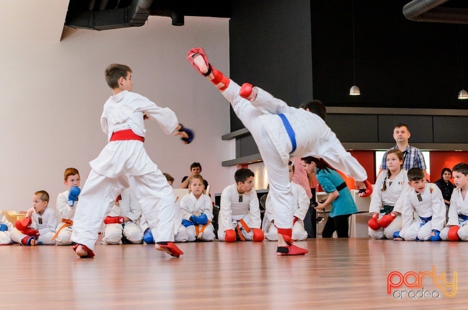 Demonstrativ Karate, 