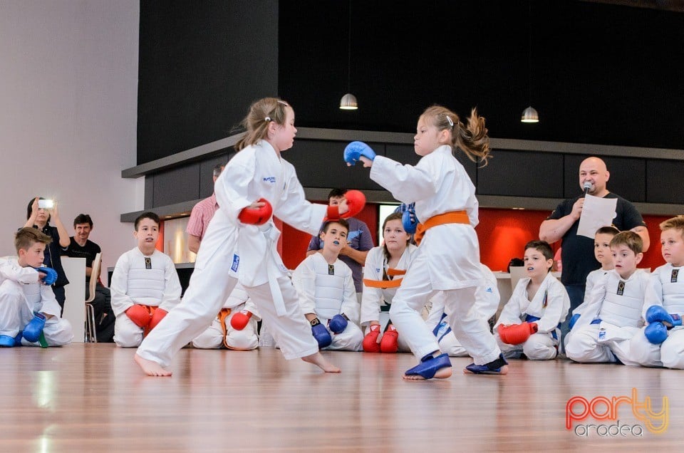 Demonstrativ Karate, 