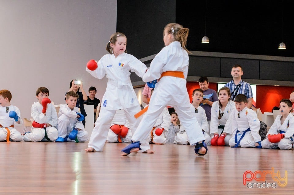 Demonstrativ Karate, 