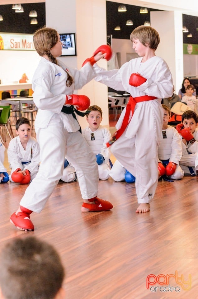Demonstrativ Karate, 