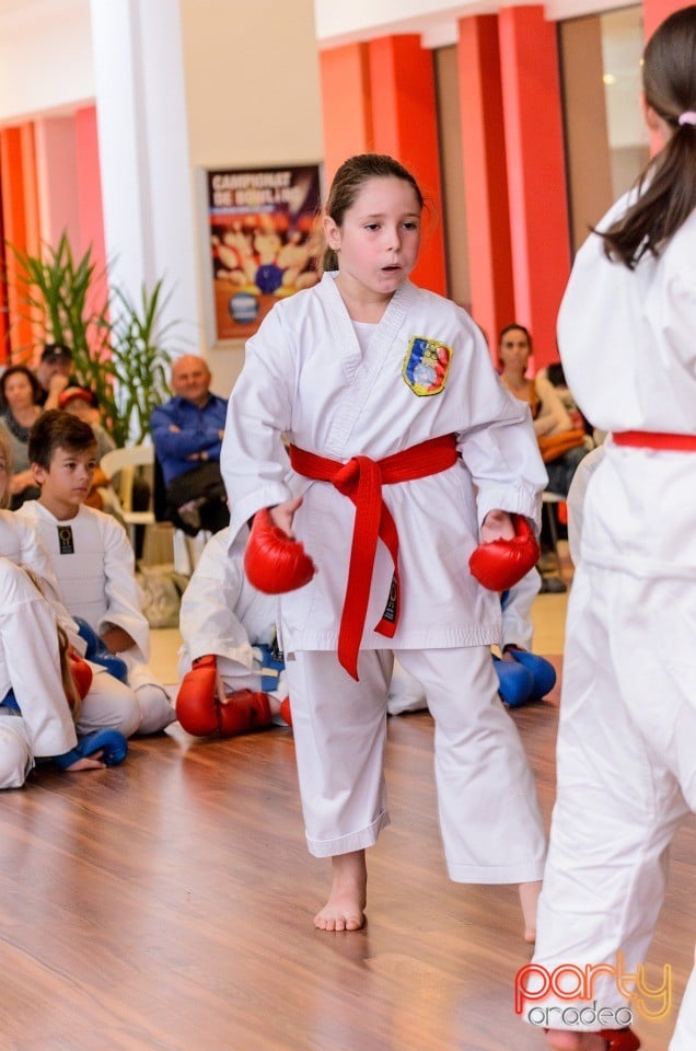Demonstrativ Karate, 