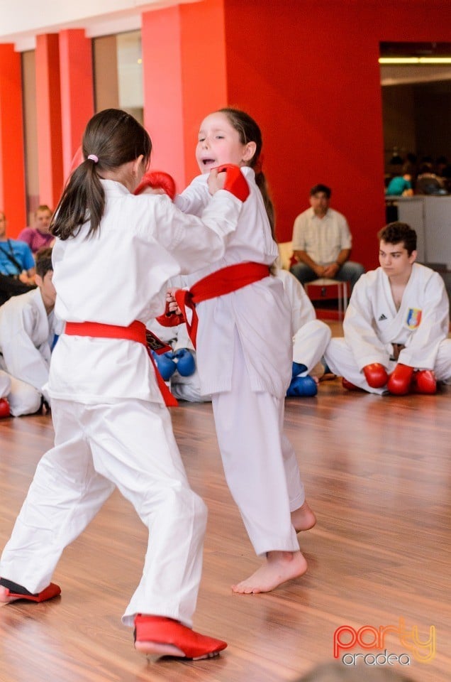 Demonstrativ Karate, 