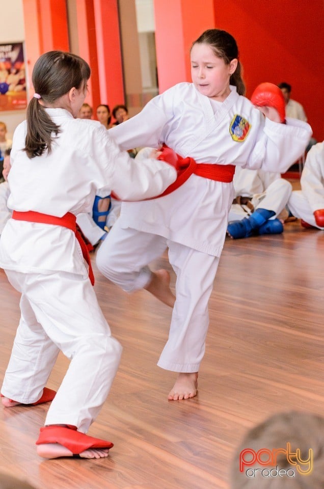 Demonstrativ Karate, 