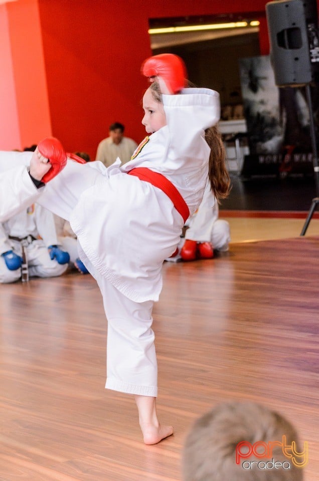 Demonstrativ Karate, 