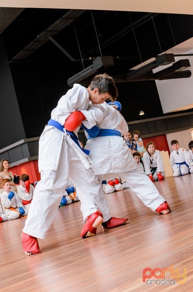 Demonstrativ Karate, 