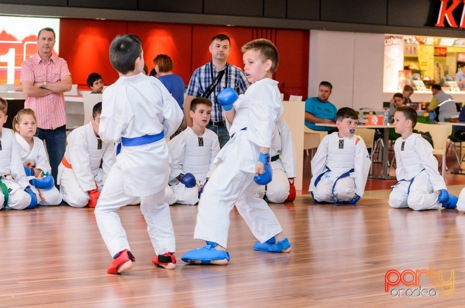 Demonstrativ Karate, 