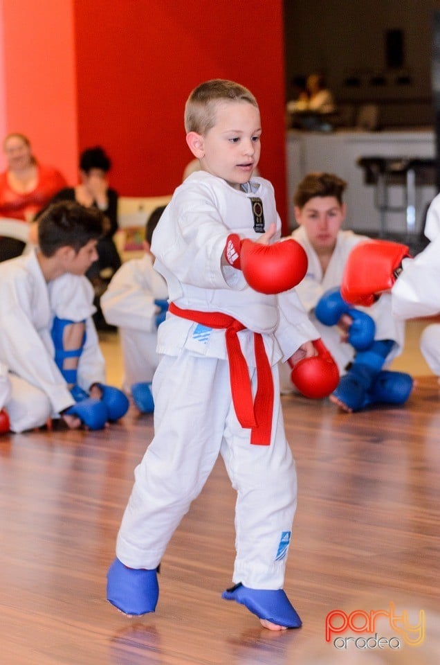 Demonstrativ Karate, 