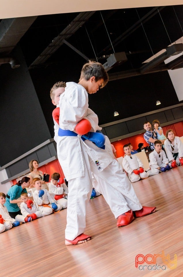 Demonstrativ Karate, 