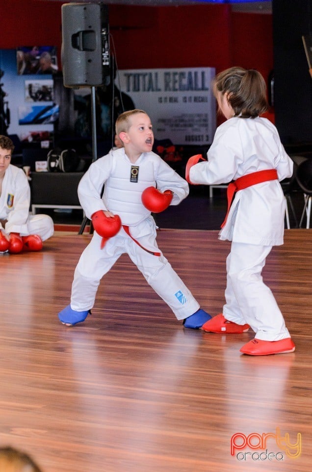 Demonstrativ Karate, 