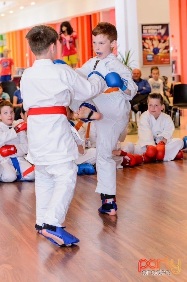 Demonstrativ Karate, 