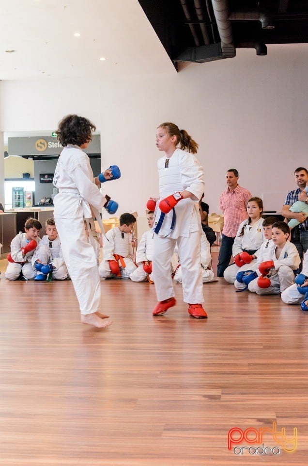 Demonstrativ Karate, 