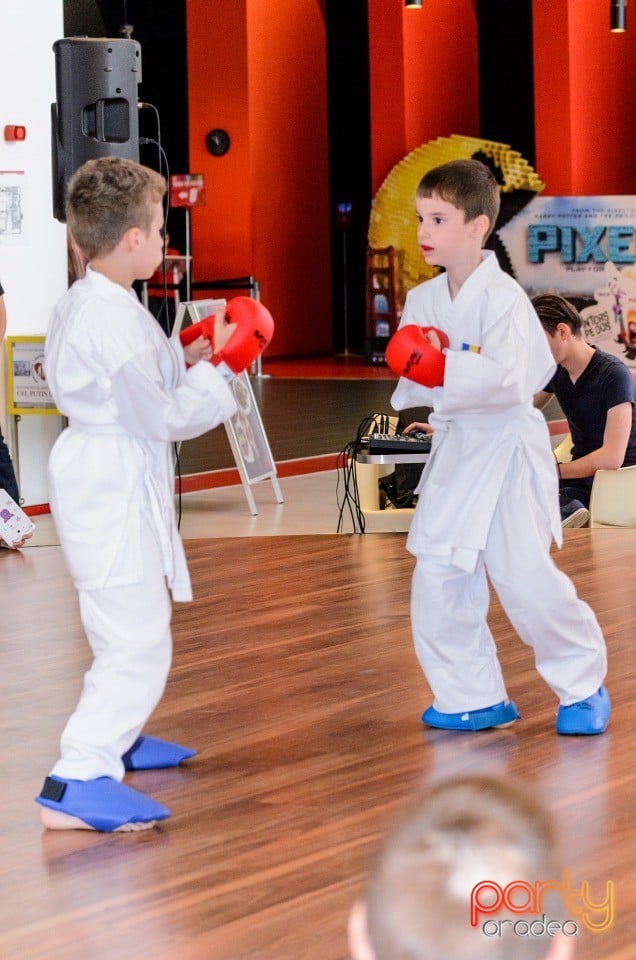 Demonstrativ Karate, 