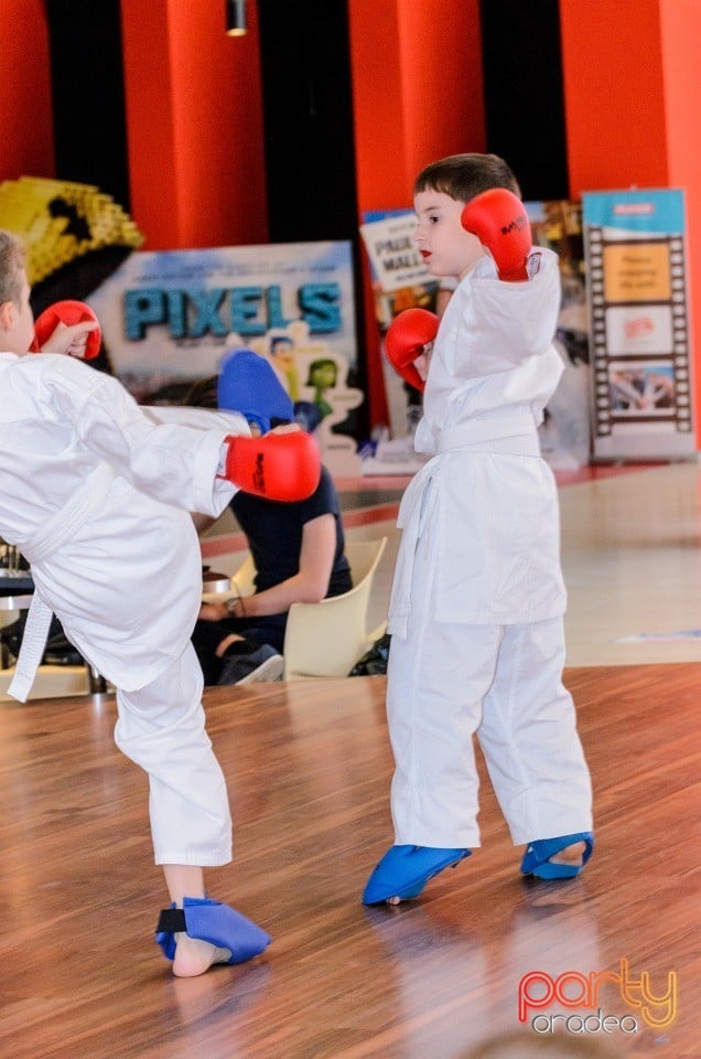 Demonstrativ Karate, 