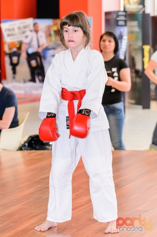 Demonstrativ Karate, 