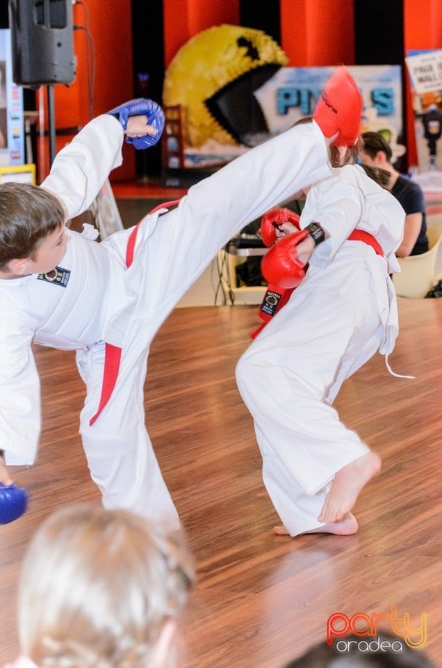 Demonstrativ Karate, 