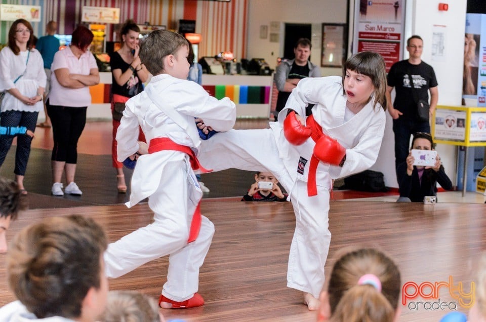 Demonstrativ Karate, 