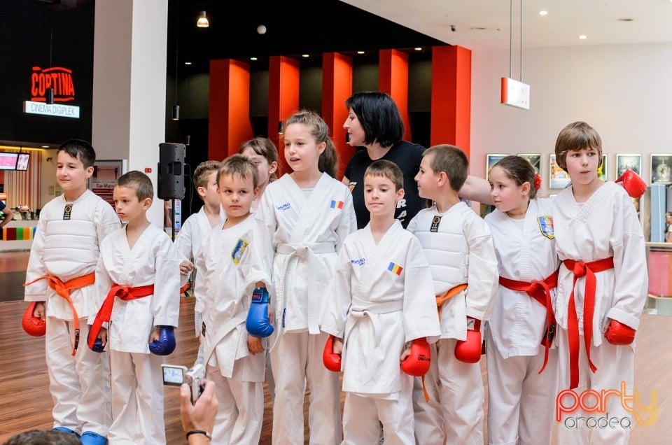 Demonstrativ Karate, 