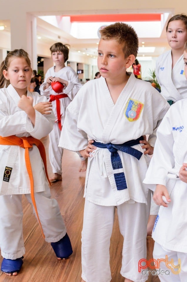 Demonstrativ Karate, 