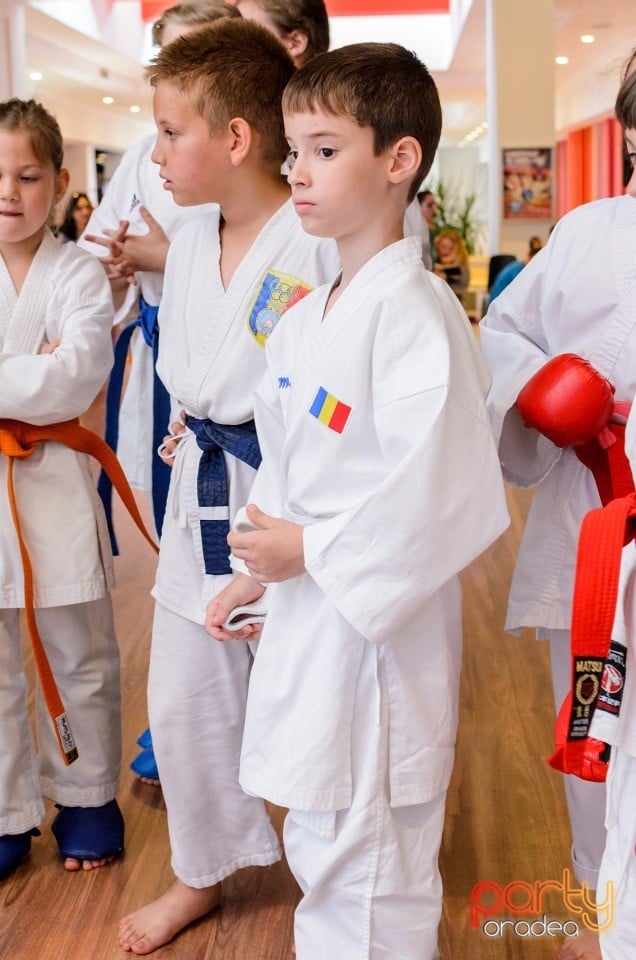 Demonstrativ Karate, 