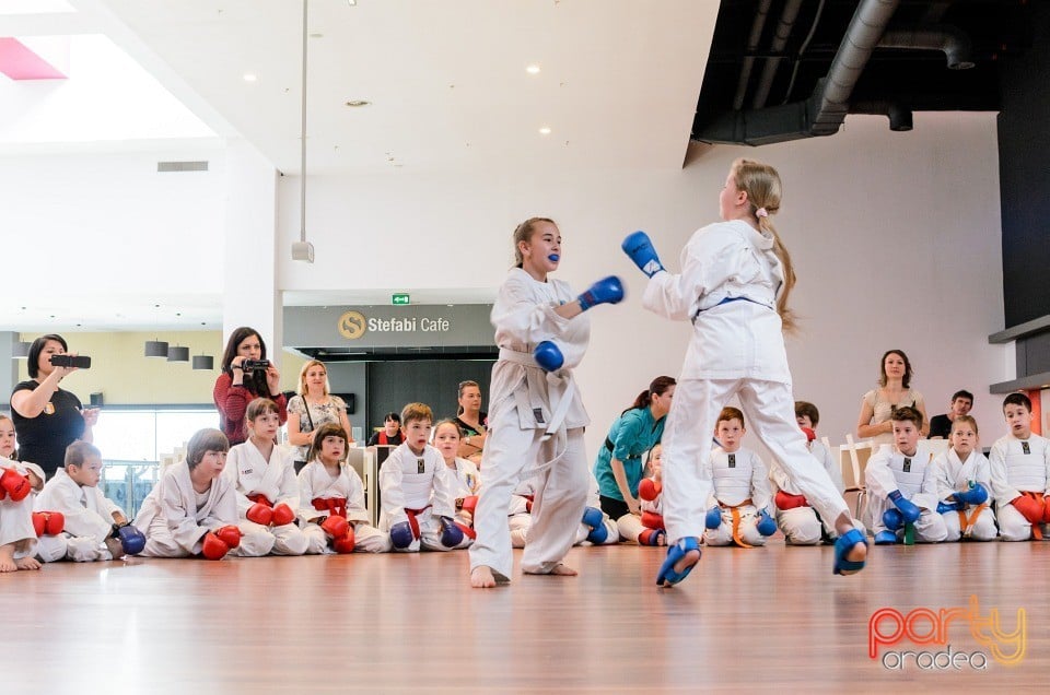 Demonstrativ Karate, 