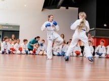 Demonstrativ Karate