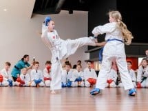 Demonstrativ Karate