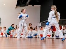 Demonstrativ Karate