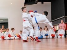 Demonstrativ Karate