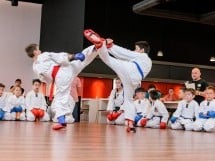 Demonstrativ Karate