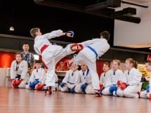 Demonstrativ Karate