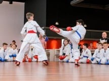 Demonstrativ Karate