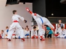 Demonstrativ Karate