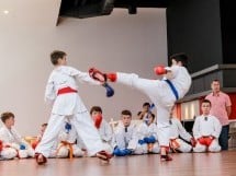 Demonstrativ Karate