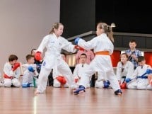 Demonstrativ Karate