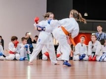 Demonstrativ Karate