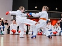 Demonstrativ Karate