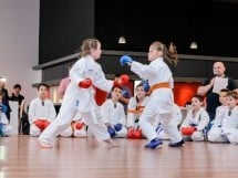 Demonstrativ Karate