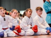 Demonstrativ Karate