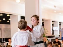 Demonstrativ Karate