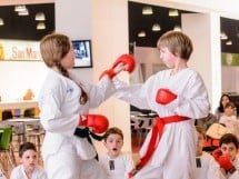 Demonstrativ Karate