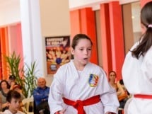 Demonstrativ Karate