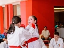 Demonstrativ Karate