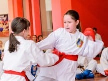 Demonstrativ Karate