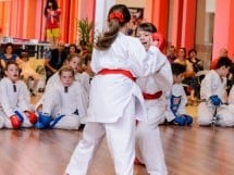 Demonstrativ Karate