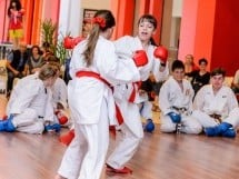 Demonstrativ Karate