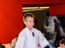 Demonstrativ Karate